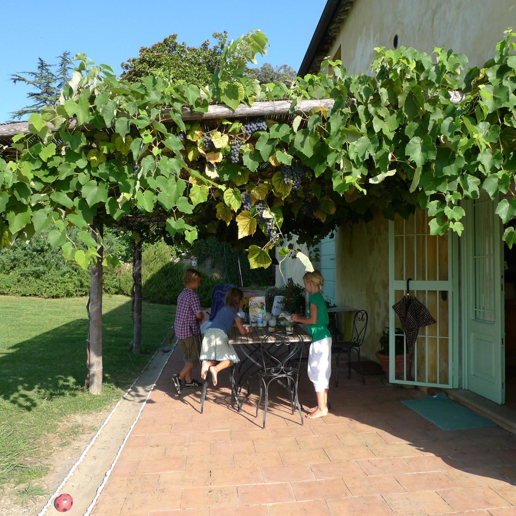 Azienda Agricola Fabbrica Di San Martino Pension Lucca Buitenkant foto