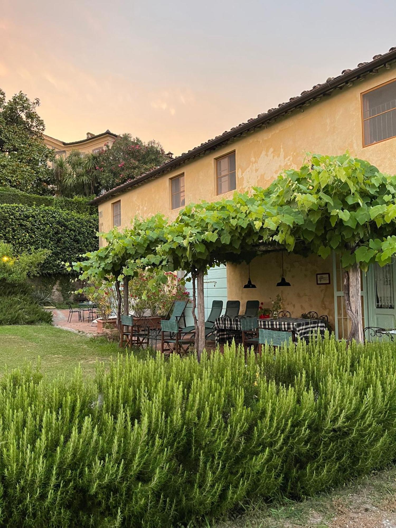 Azienda Agricola Fabbrica Di San Martino Pension Lucca Buitenkant foto