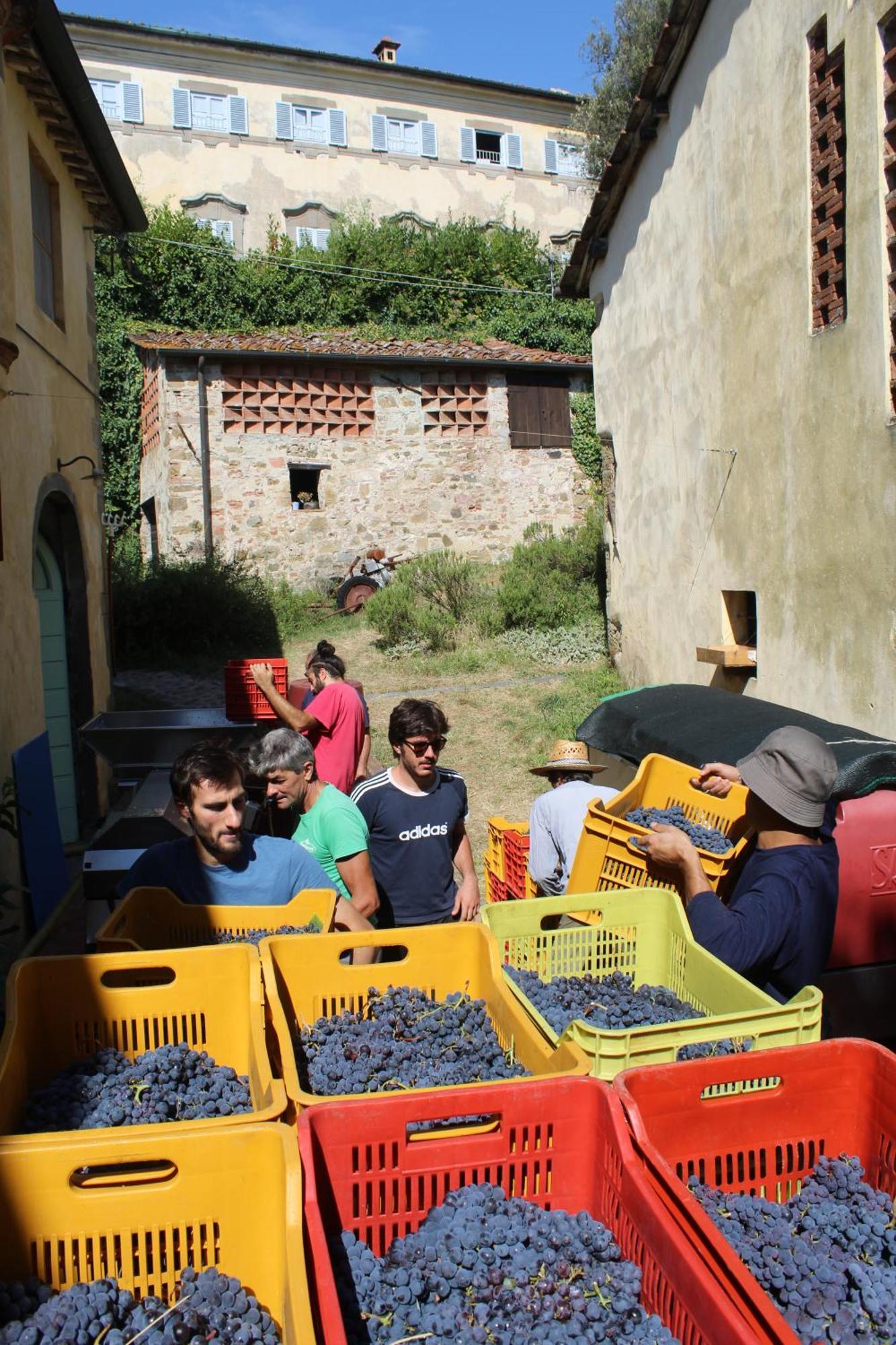 Azienda Agricola Fabbrica Di San Martino Pension Lucca Buitenkant foto