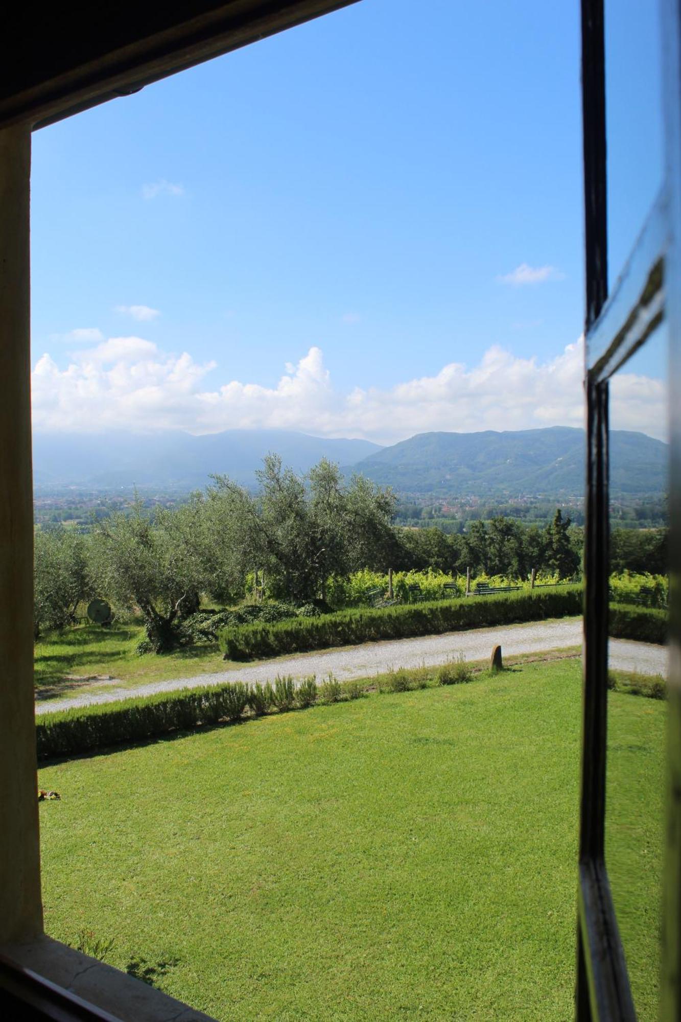 Azienda Agricola Fabbrica Di San Martino Pension Lucca Buitenkant foto