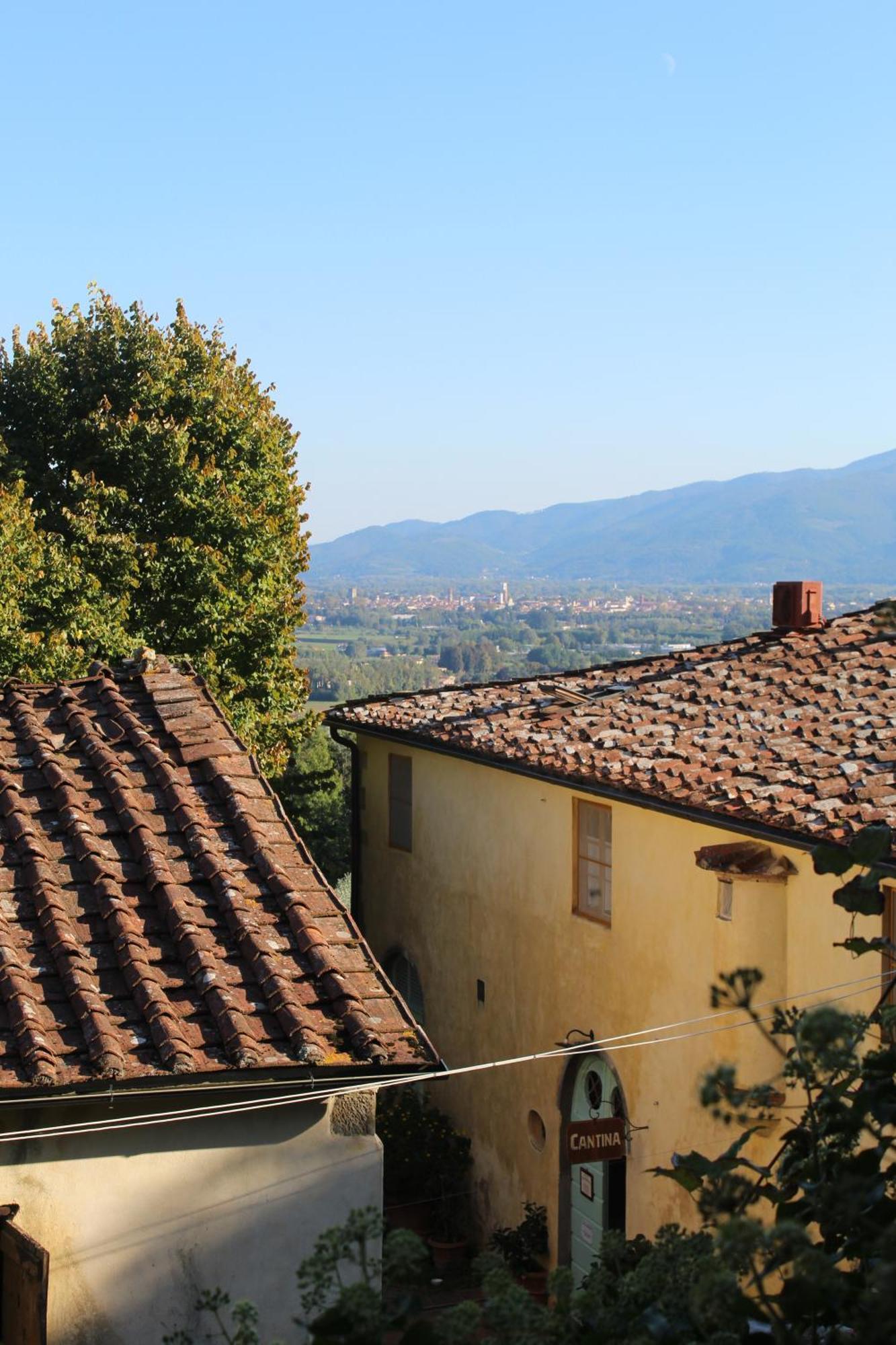 Azienda Agricola Fabbrica Di San Martino Pension Lucca Buitenkant foto